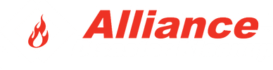 Alliancedisaster 3
